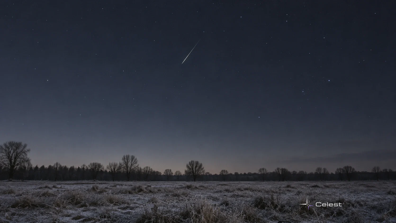 A quiet winter observing illustration with a single pale meteor above a low bare treeline and a sparse night sky.