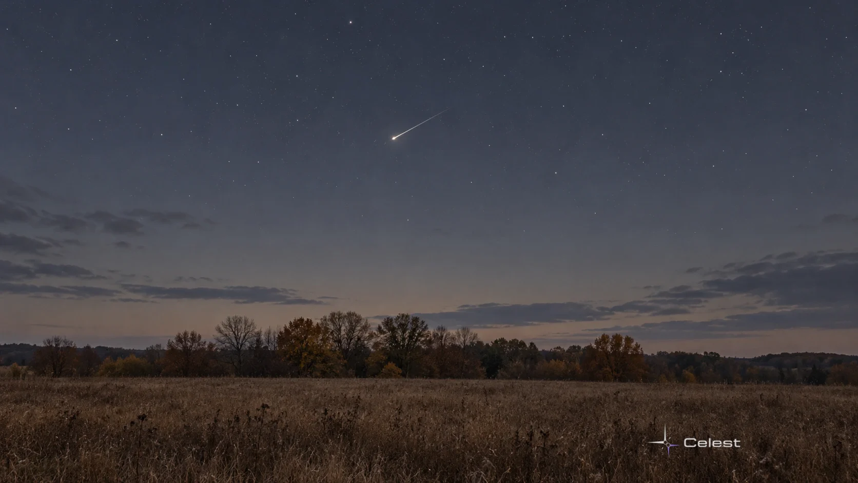 A single modest bright meteor above a muted autumn field and a low line of trees.