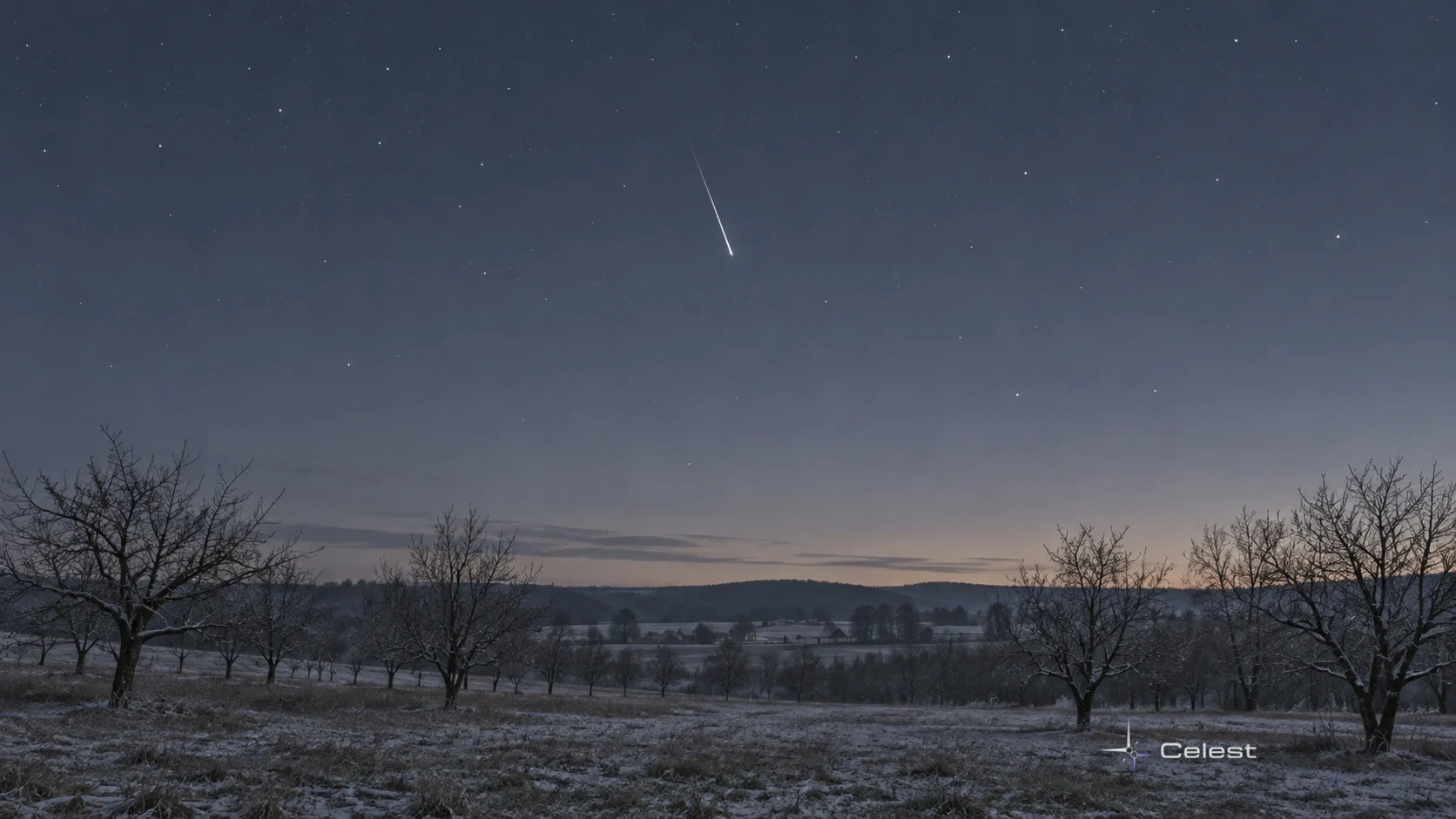 One restrained white meteor above a bare winter orchard and a low northern horizon.